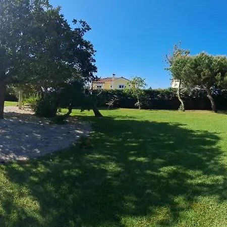 Louro Santa Cruz (Oeste)