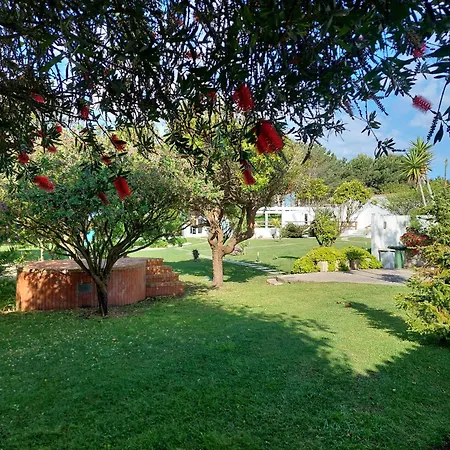 Louro סנטה קרוז