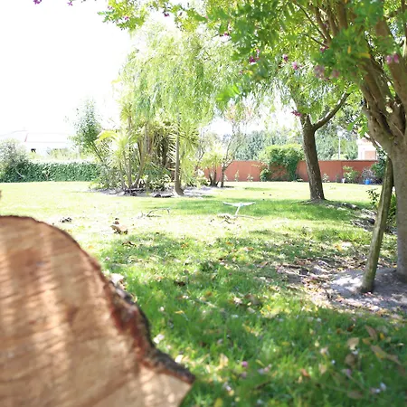 Louro Santa Cruz