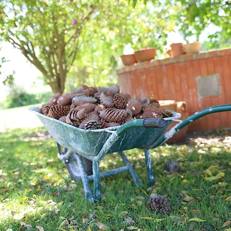 Louro סנטה קרוז