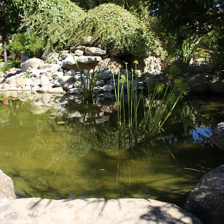 Louro בית הארחה סנטה קרוז