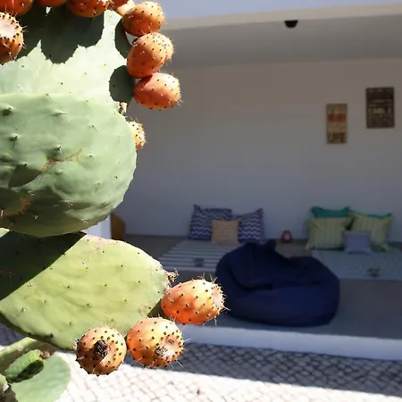 Louro Casa de hóspedes Santa Cruz (Oeste)