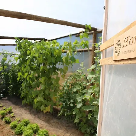 בית הארחה Louro