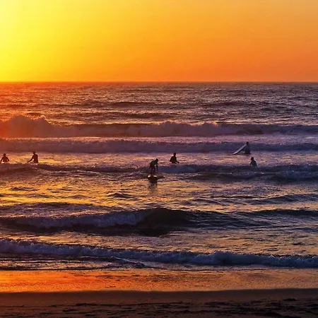 Louro סנטה קרוז